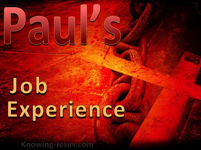 Pauls Job Experience (devotional) (red)
